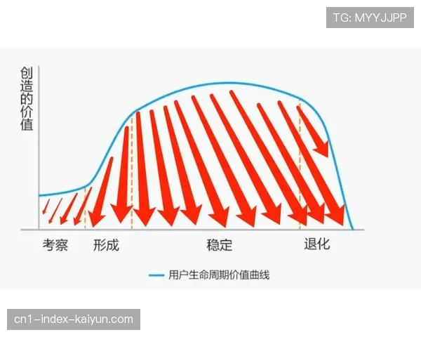 市场主体优化版权采购评估模型 注重长期价值与用户黏性平衡。